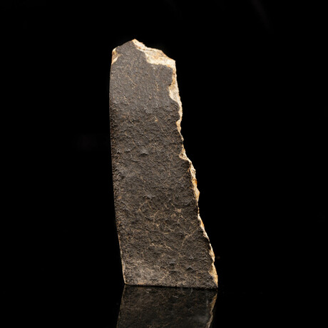 Mocs Meteorite // 6.64 Grams