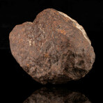 Franconia Meteorite // 1.52 Lb.