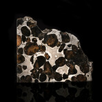 Seymchan Meteorite Slice // 18.75 Grams