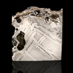 Seymchan Meteorite Slice // 56.34 Grams