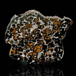 Sericho Pallasite Meteorite Slice // 86 Grams