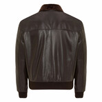 Calvin Leather Jacket // Brown (S)