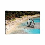 Penguins At The Beach by David Loblaw (18"H x 26"W x 0.75"D)
