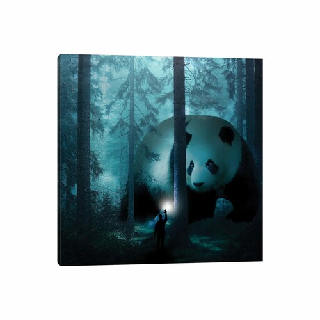 Giant Panda In A Forest by David Loblaw (18"H x 18"W x 0.75"D)