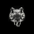 Elephant Ring (6)