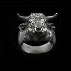 Bull Ring (6)