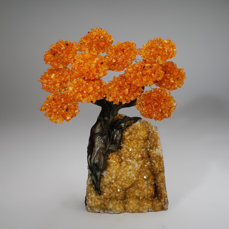 Genuine Citrine Clustered Gemstone Tree on Citrine Matrix // The Calming Tree // 3.8lb
