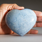 Genuine Polished Lapis Lazuli Heart with Acrylic Display Stand V.3