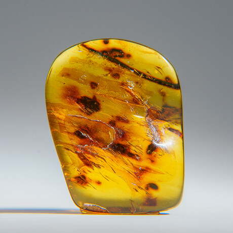 Genuine Amber From Dominican Republic