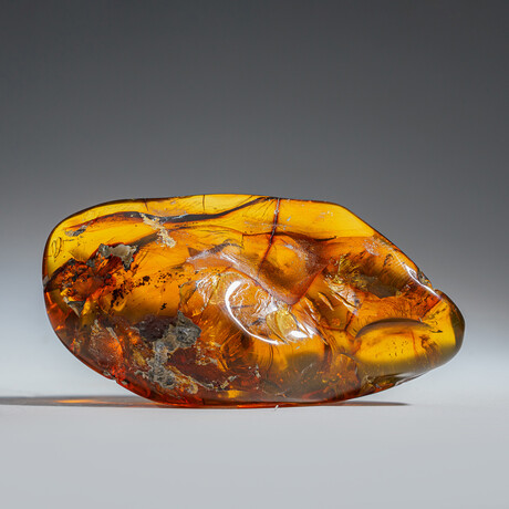 Genuine Amber (with fossilized Insects present) From Dominican Republic