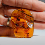 Genuine Amber From Dominican Republic