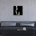 Nude Woman Bodyscape XXIII Print On Acrylic Glass by  Johan Swanepoel
