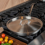 Viking Professional // 5-Ply Stainless Steel Nonstick Fry Pan (10")
