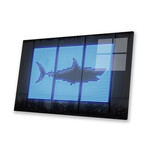 Shark Print // Octavian Mielu (24"H x 16"W x 0.25"D)