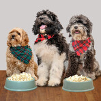 Pooch’s Popcorn Gift Set