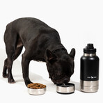 Dog Water Bottle // Black