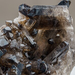 Genuine Smoky Quartz Crystal Cluster from Mina Gerais, Brazil // 10 lbs
