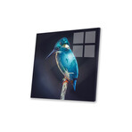 Aquarium Bird Print On Acrylic Glass by Paul Haag