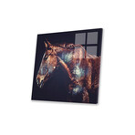 Horse Print On Acrylic Glass by Paul Haag