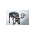 Nature Moose Print On Acrylic Glass by Paul Haag