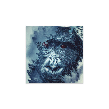 Gorilla Print On Acrylic Glass by Paul Haag