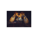 Owl On Fire Print On Acrylic Glass by Paul Haag