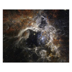 James Webb Space Telescope -Tarantula Nebula 2 (7.2"L x 9.2"W)