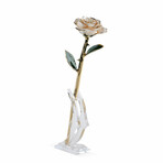 Forever Rose // White
