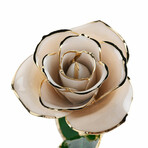 Forever Rose // White