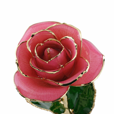 Forever Rose // Rich Pink