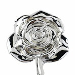 Forever Rose // Silver
