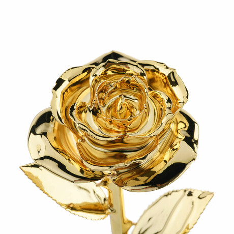 Forever Rose // Gold