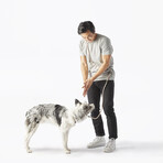 Active Bundle // Magic Leash + Waste Bag Holder + Wipes // Blush (XS/S)