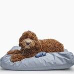 Inside Bundle // Dog Bed + 2 Navy Falcon Toys // Mineral Gray + Navy (XS/S)