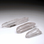 Lemurian Quartz Point // Single