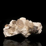 Quartz, Topaz, and Mica on Albite // 6.5 Lb.