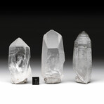 Lemurian Quartz Point // Single