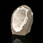 Scolecite Geode // 113 Grams