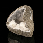 Scolecite Geode // 144 Grams