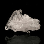 Quartz Cluster // 261 Grams