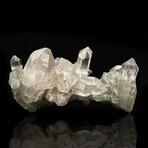 Chloride Quartz Cluster // 360 Grams