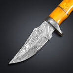 Poppy Hunter // 2023