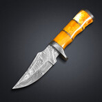 Poppy Hunter // 2023