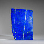 Genuine Polished Lapis Lazuli Freeform V.1 // 4 lb