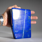 Genuine Polished Lapis Lazuli Freeform V.1 // 4 lb
