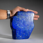 Genuine Polished Lapis Lazuli Freeform V.2 // 4 lb