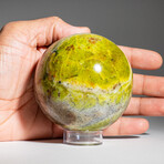 Genuine Polished Green Opal Sphere with Acrylic Display Stand // 600-700g