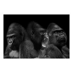 NINE (24"H x 16"W x 2"D)