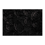 FIVE (24"H x 16"W x 2"D)