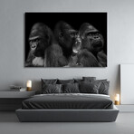 NINE (24"H x 16"W x 2"D)